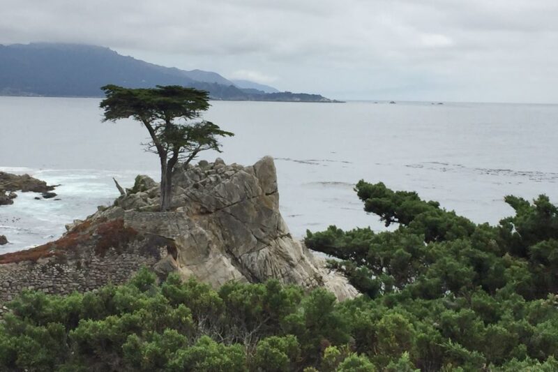 From San Francisco: Carmel, Monterey & Big Sur Private Tour - Itinerary and Highlights