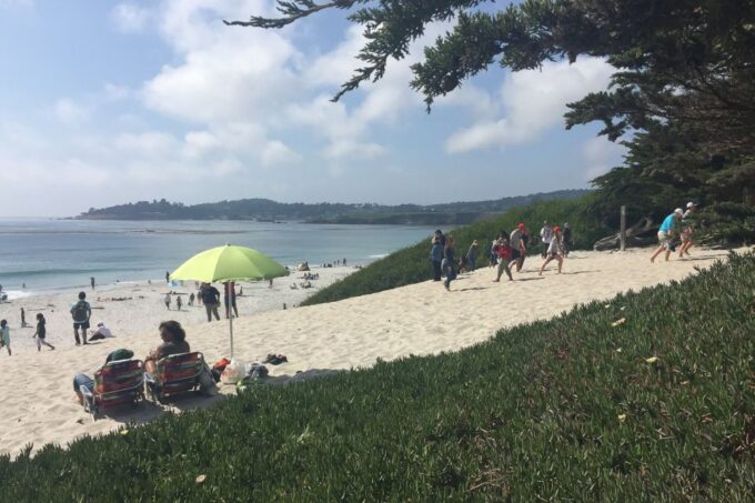 From San Francisco: Carmel, Monterey & Big Sur Private Tour - Frequently Asked Questions