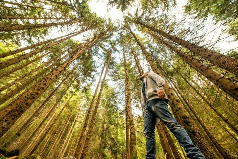 From San Francisco: Guided Muir Woods Excursion - Who Will Love This Tour?