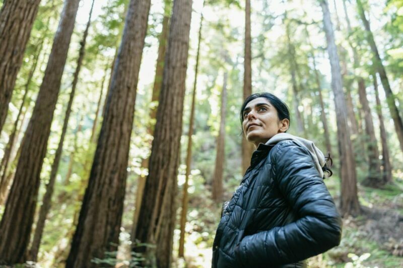 From San Francisco: Guided Muir Woods Tour - Key Points