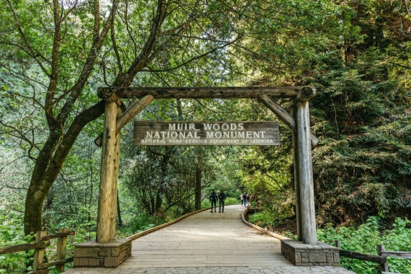 From San Francisco: Guided Muir Woods Tour - What’s Included and What’s Not