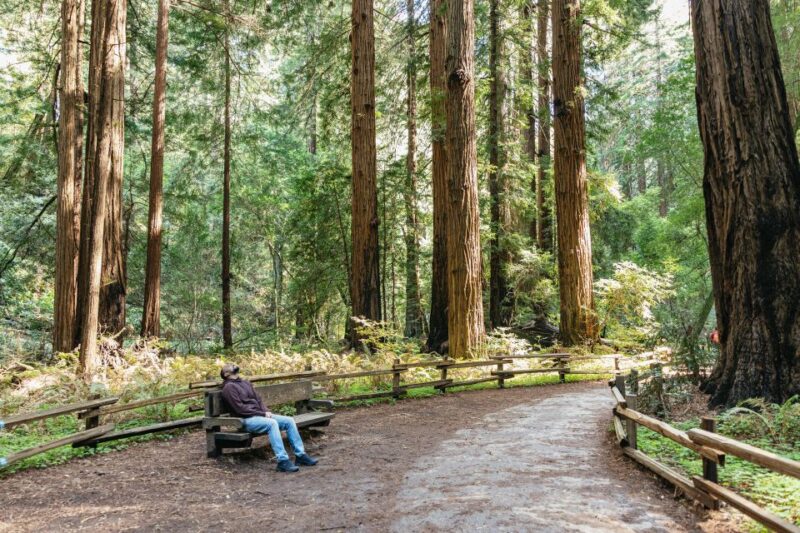 From San Francisco: Guided Muir Woods Tour - Customer Reviews and Feedback