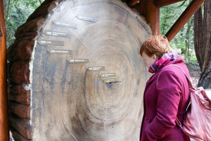 From San Francisco: Muir Woods and Sausalito Half-Day Trip - Customer Feedback
