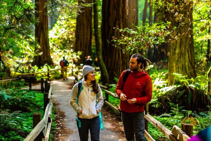 From San Francisco: Muir Woods and Sausalito Half-Day Trip - Discovering Sausalito
