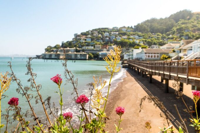 From San Francisco: Muir Woods and Sausalito Half-Day Trip - Tour Duration and Price