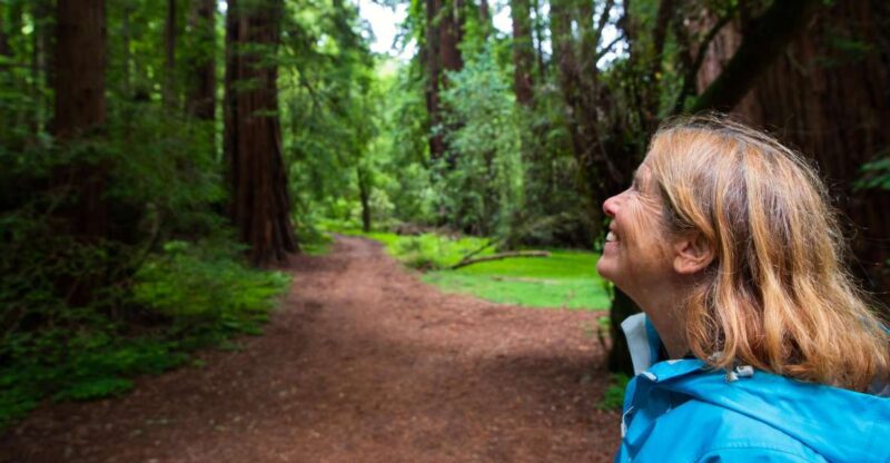 From San Francisco: Muir Woods Redwood Forest Tour - Key Points