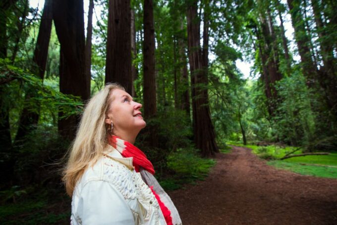 From San Francisco: Muir Woods Redwood Forest Tour - Exploring Coastal Giant Sequoias