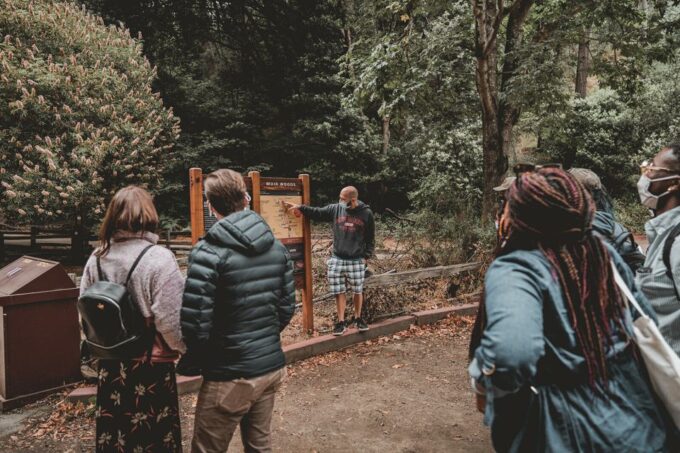 From San Francisco: Muir Woods Redwood Forest Tour - Hiking Along Redwood Creek