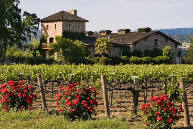 From San Francisco: Napa & Sonoma Wine Country Private Tour - Food and Shopping