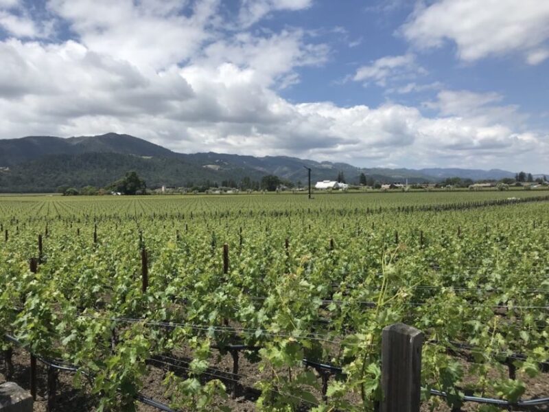From San Francisco: Private Beer and Wine SUV Tour - Tour Logistics