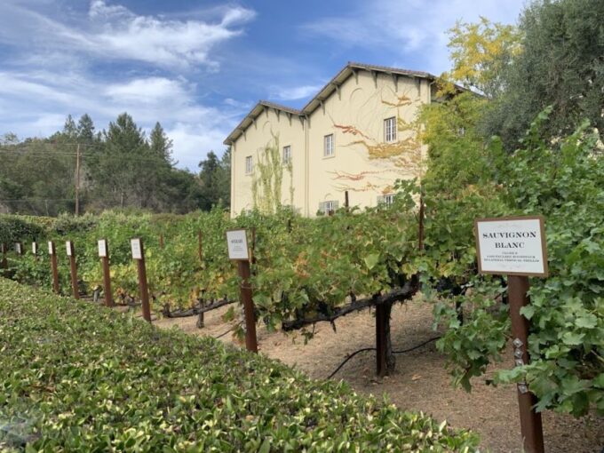 From San Francisco: Private Beer and Wine SUV Tour - Free Cancellation and Payment