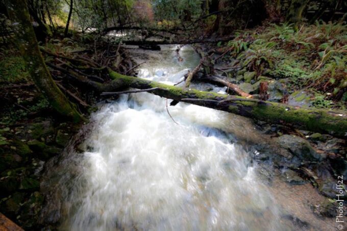 From San Francisco: Private Muir Woods and Napa Wine Tour - Frequently Asked Questions