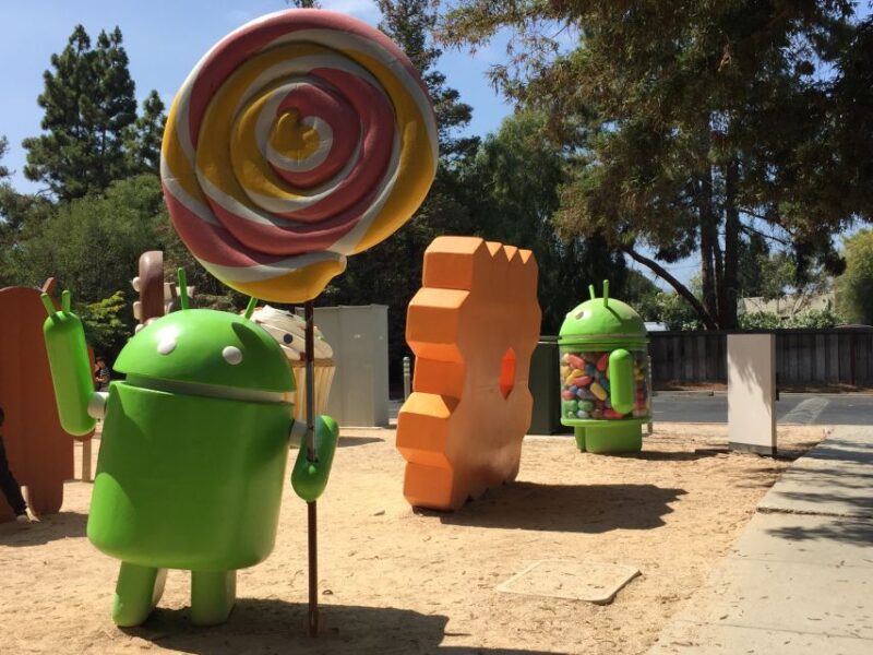 From San Francisco: Silicon Valley Private Tour - Customer Experience and Reviews