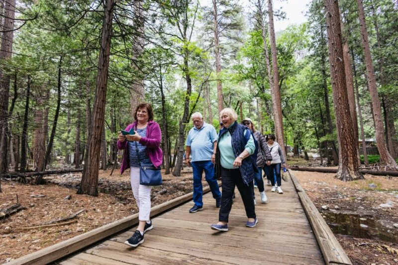 From San Francisco: Yosemite National Park Guided Day Trip - Itinerary and Experience