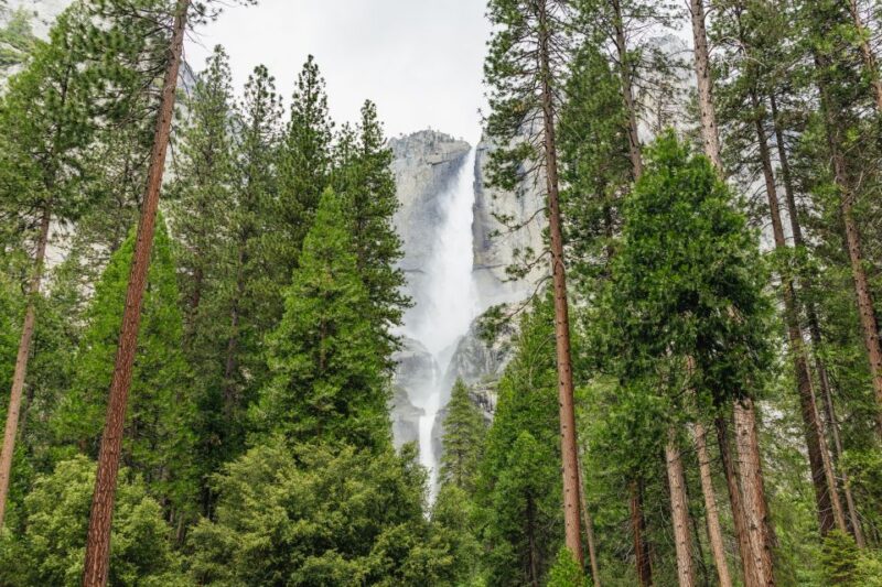 From San Francisco: Yosemite National Park Guided Day Trip - Departure Locations