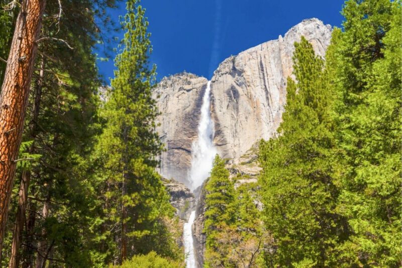 From San Francisco: Yosemite & Tahoe Sierras 4-Day Trip - Customer Reviews and Ratings