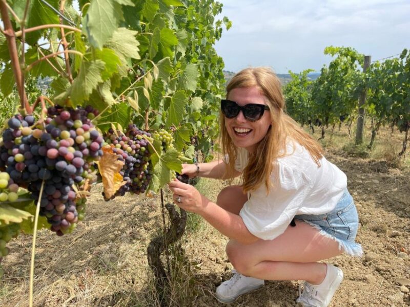 From San Gimignano: Half-Day Chianti Wine Tour - Cancellation Policy