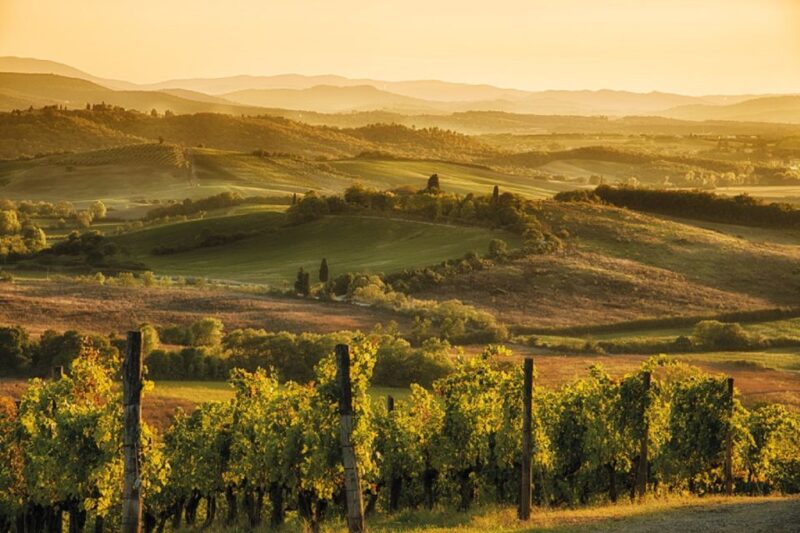 From San Gimignano: Vintage Fiat 500 Self-Drive Chianti Tour - Itinerary Highlights