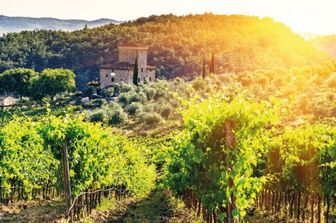 From San Gimignano: Vintage Fiat 500 Self-Drive Chianti Tour - Additional Information