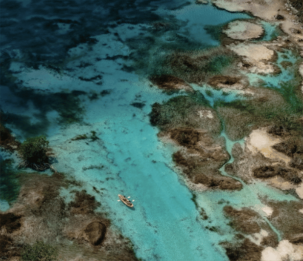 From San Ignacio: One Way Share Transfer to Bacalar - Key Points