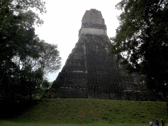 From San Ignacio: Tikal Maya Site Day-Trip With Local Lunch - Customer Feedback and Ratings