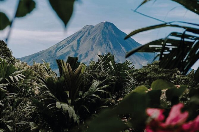 From San José: Arenal Volcano and Hot Springs With Lunch - Customer Feedback Highlights