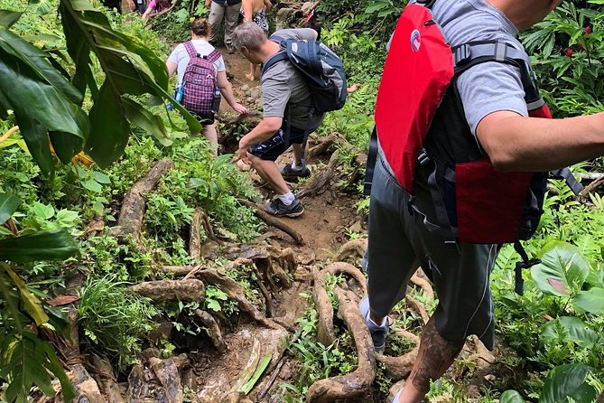 From San Juan: El Yunque Rainforest Hiking Adventure - Transportation and Inclusions