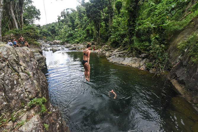 From San Juan: El Yunque Rainforest Hiking Adventure - Tour Guide Expertise and Praise