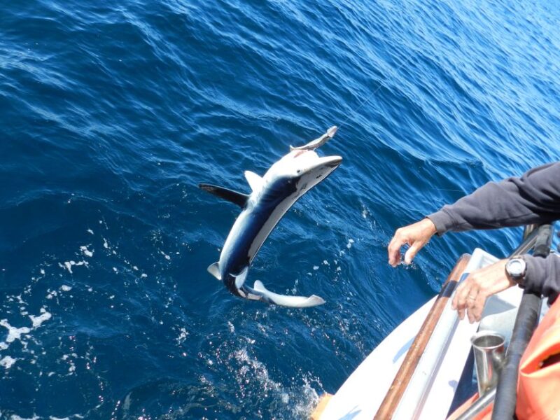 From San Leone: Private Bluefin Tuna Fishing Experience - Meeting Point