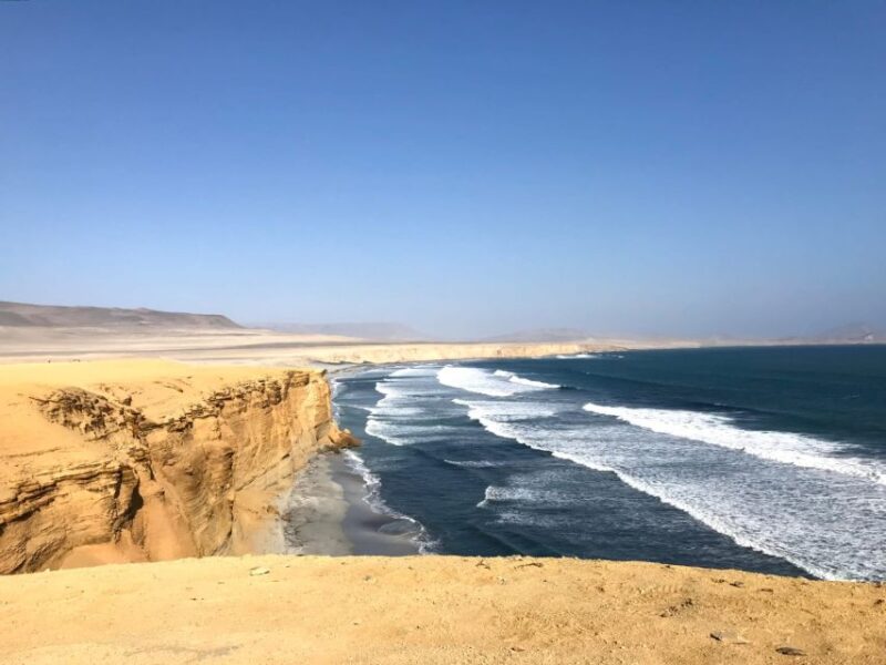 From San Martin: Ballestas Islands and Paracas Reserve - Inclusions