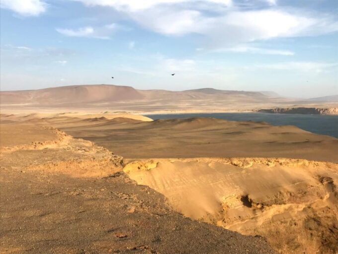 From San Martin: Ballestas Islands and Paracas Reserve - Meeting Point and Activities
