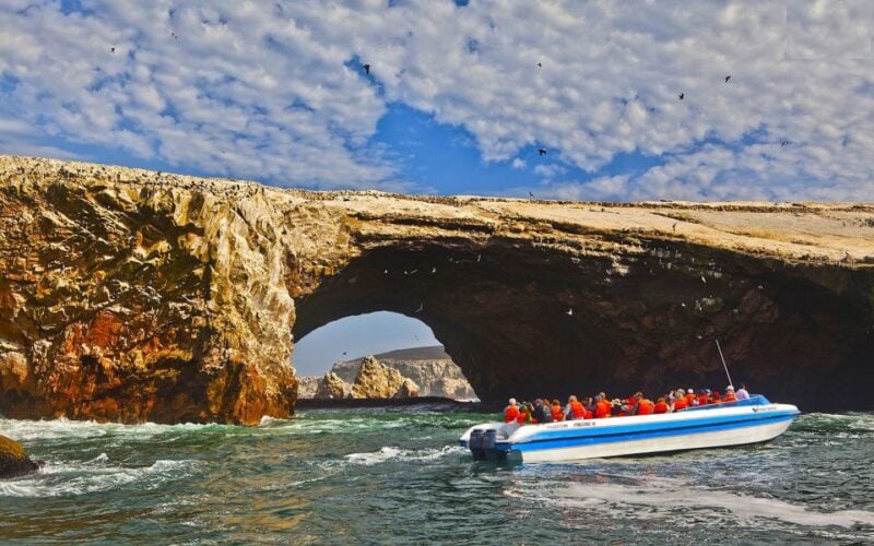 From San Martin Port: 2-Hour Ballestas Island - Itinerary