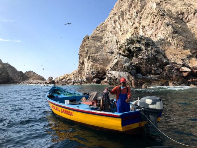 From San Martin Port: 2-Hour Ballestas Island - Accessible Options