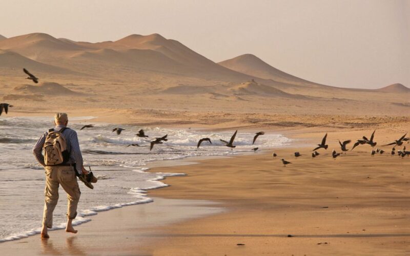 From San Martin Port: 3-Hour Paracas Reserve Tour - Itinerary Highlights