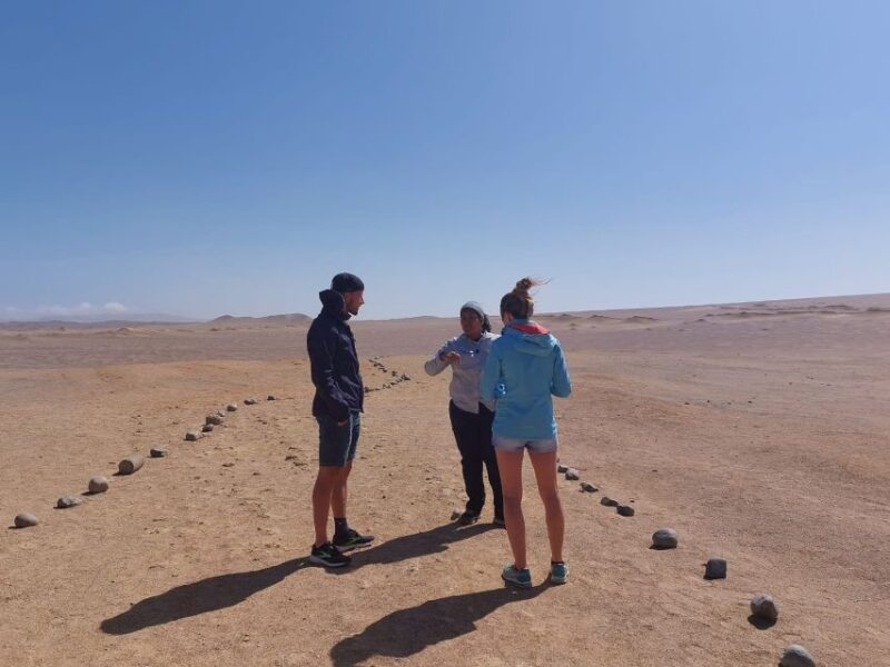 From San Martin Port: Ballestas Island & Paracas Reserve - Key Points