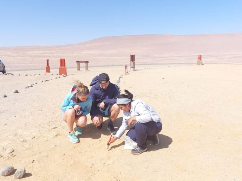 From San Martin Port: Ballestas Island & Paracas Reserve - Itinerary Details