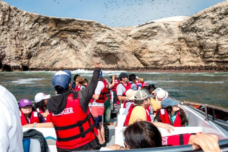 From San Martin Port: Ballestas Islands Tour in Paracas - Transportation and Logistics