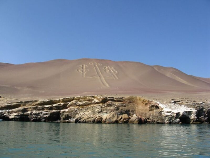 From San Martin Port: Ballestas Islands Tour in Paracas - Shore Excursion to Ballestas Islands