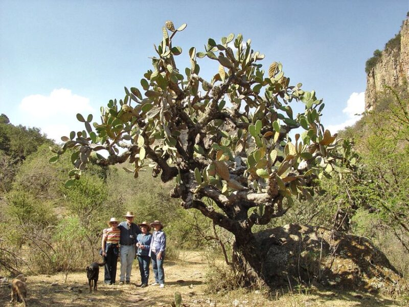 From San Miguel De Allende: Hiking in the Canyon With Lunch - Pricing and Cancellation Policy