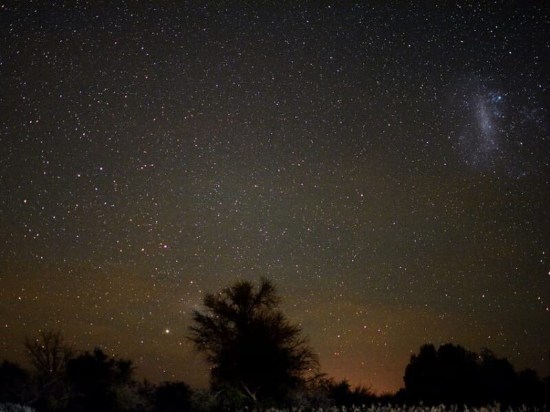 From San Pedro De Atacama: Astronomy Tour - Booking Information