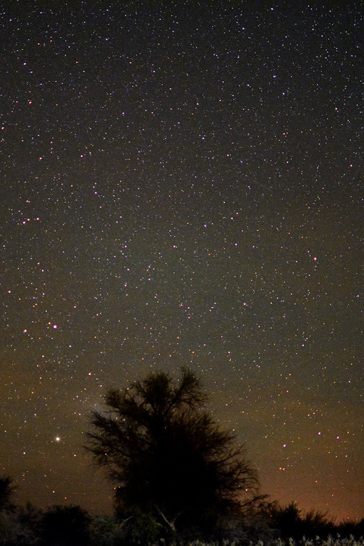 From San Pedro De Atacama: Astronomy Tour - Included Features