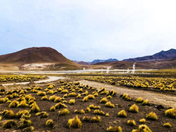 From San Pedro De Atacama: Geysers Del Tatio Half-Day Tour - Frequently Asked Questions