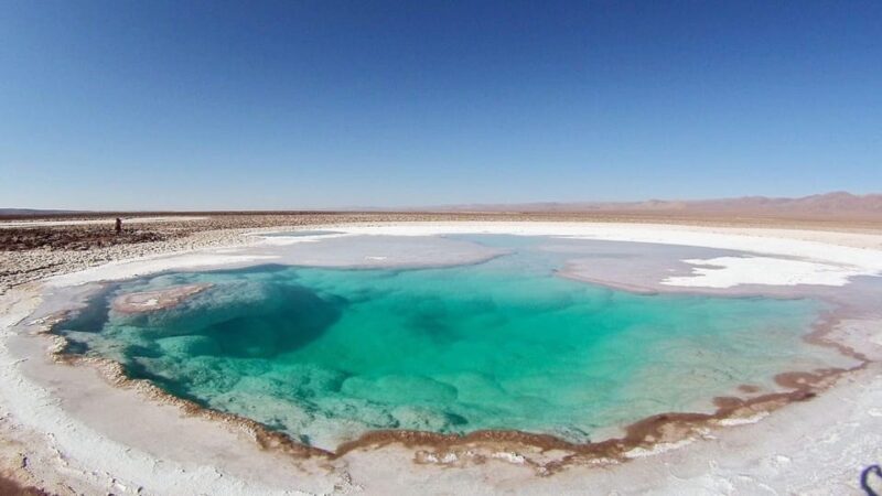 From San Pedro De Atacama: Hidden Lagoons of Baltinache - Key Points