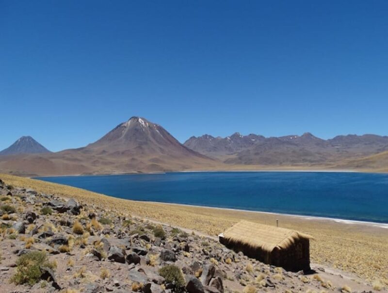 From San Pedro De Atacama: Lagoons and Piedras Reds - Itinerary Highlights