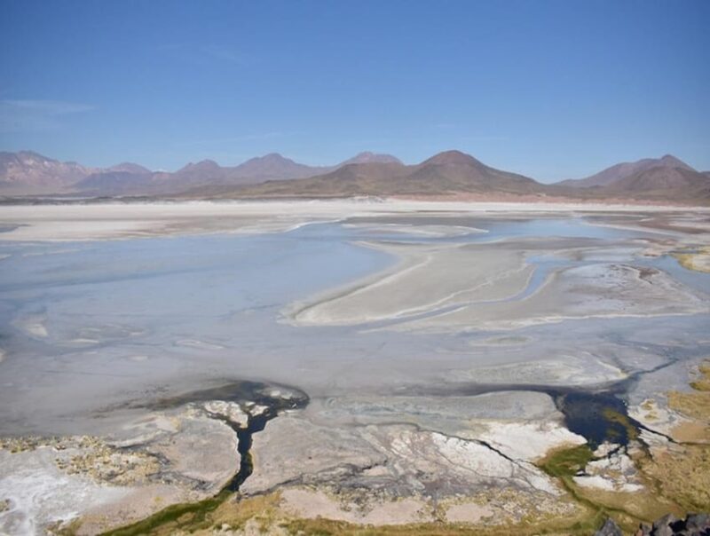 From San Pedro De Atacama: Lagoons and Piedras Reds - Tour Experience