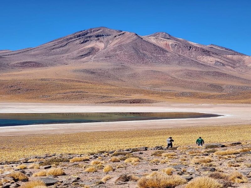 From San Pedro De Atacama: Lagoons and Piedras Reds - Transportation and Amenities