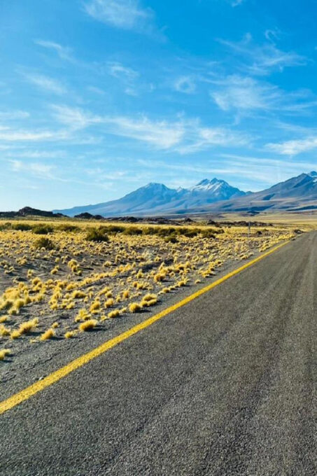 From San Pedro De Atacama: Lagoons and Piedras Reds - Flamingo-Filled Laguna Chaxa