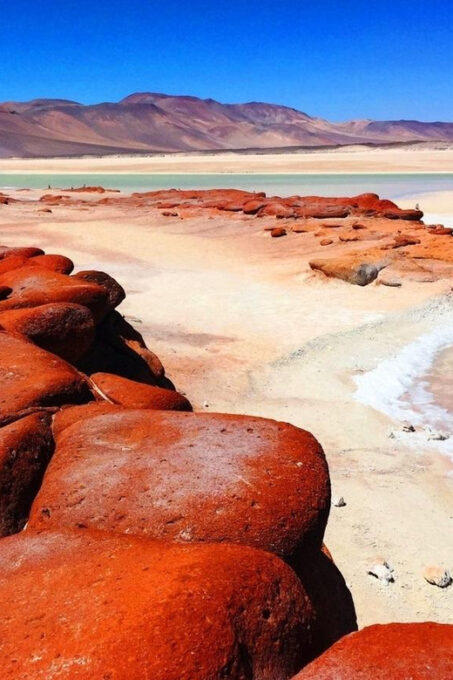 From San Pedro De Atacama: Red Stones and Altiplanic Lagoons - Tour Duration