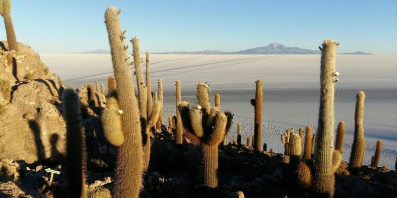 From San Pedro De Atacama to the Uyuni Salt Flats 4 Days - Key Points