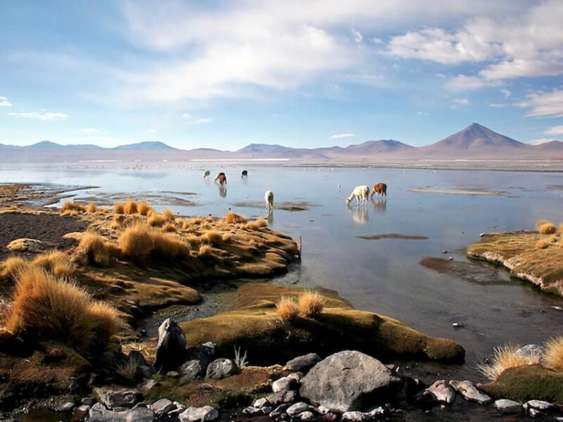 From San Pedro De Atacama to the Uyuni Salt Flats 4 Days - Day 2: Exploring Pre-Incan Wonders